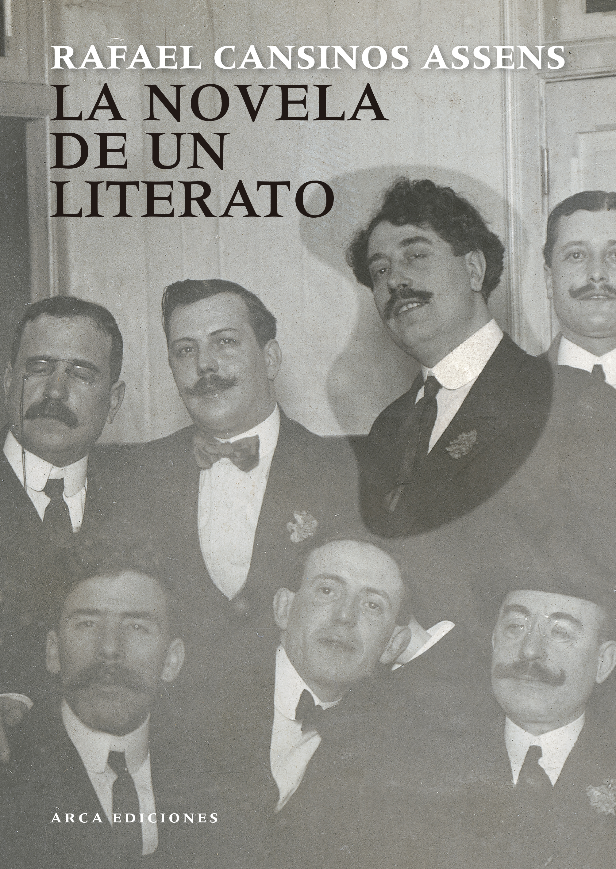 La novela de un literato